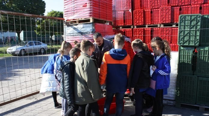 Pályaorientációs napot tartottak a mórahalmi Szent László Katolikus Általános Iskolában