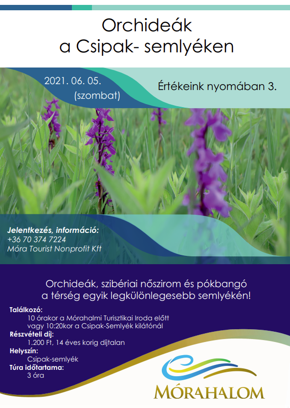 Orchideák a Csipak-semlyéken