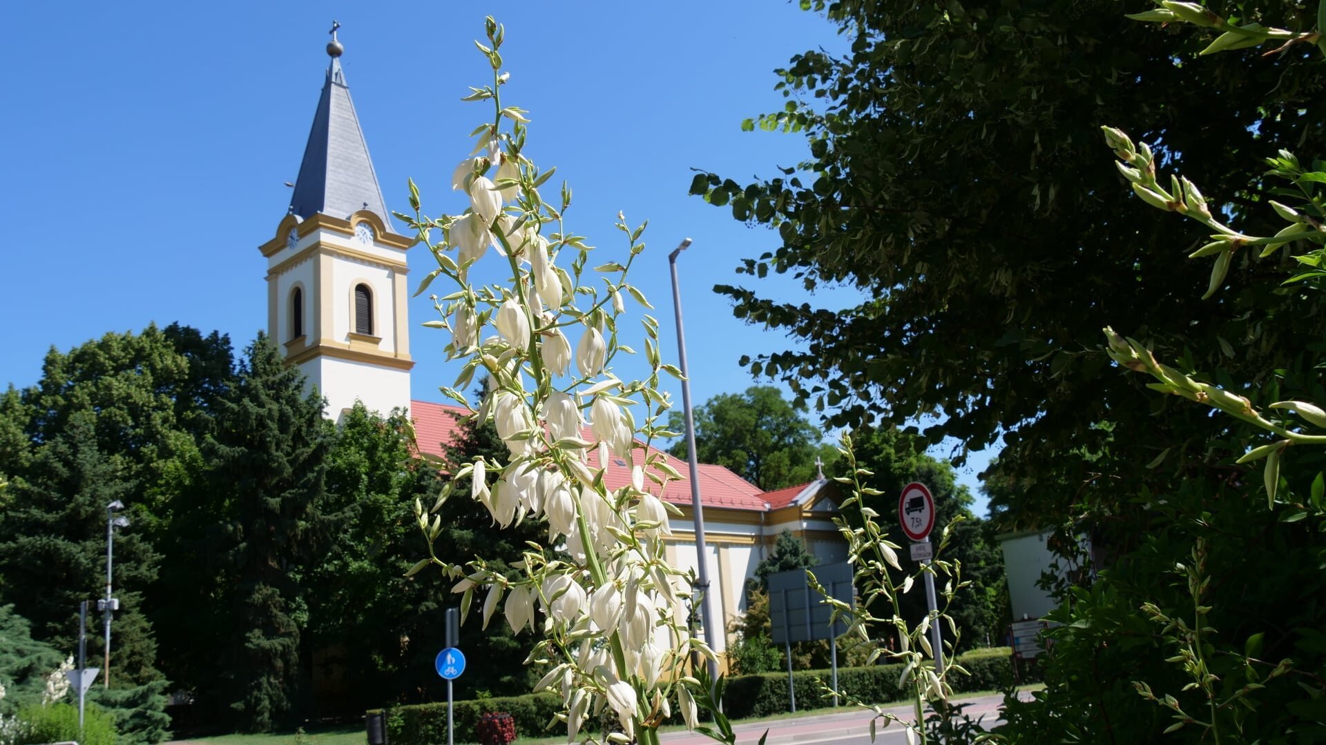Köszöntötték a jubiláló házasokat Mórahalmon