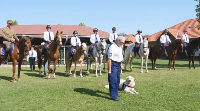 30 éves a magyar polgárőrség –  Születésnapjukat ünnepelték Mórahalmon