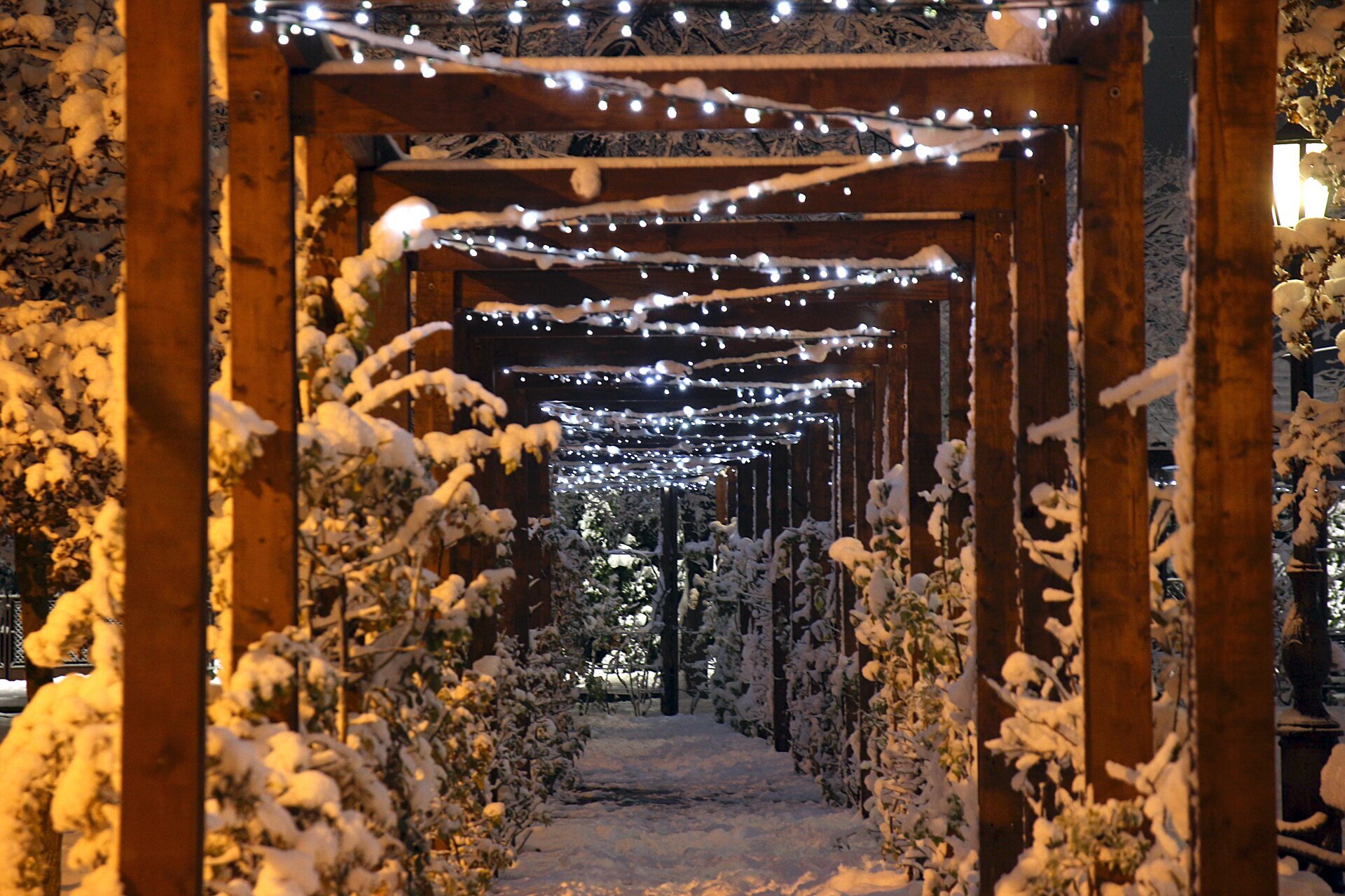 Öltöztessük ünnepi díszbe városunkat!