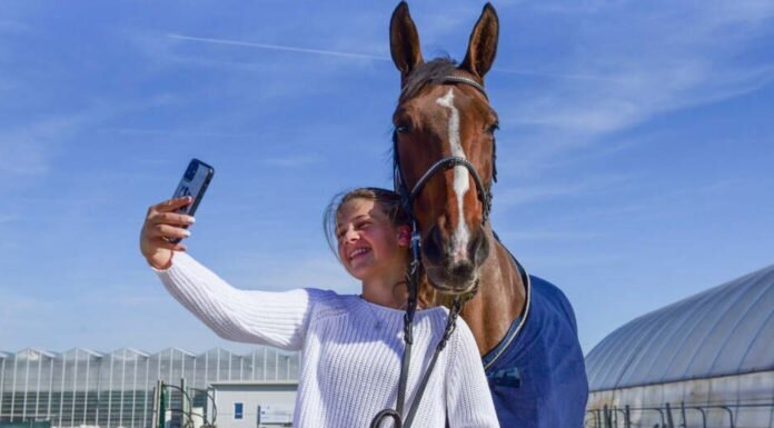 A Goldhorse U25-ös nagydíj győztes Kiss Lizanna