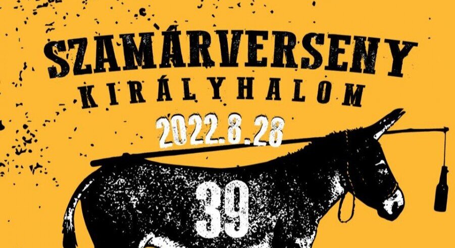 39. Szamárverseny