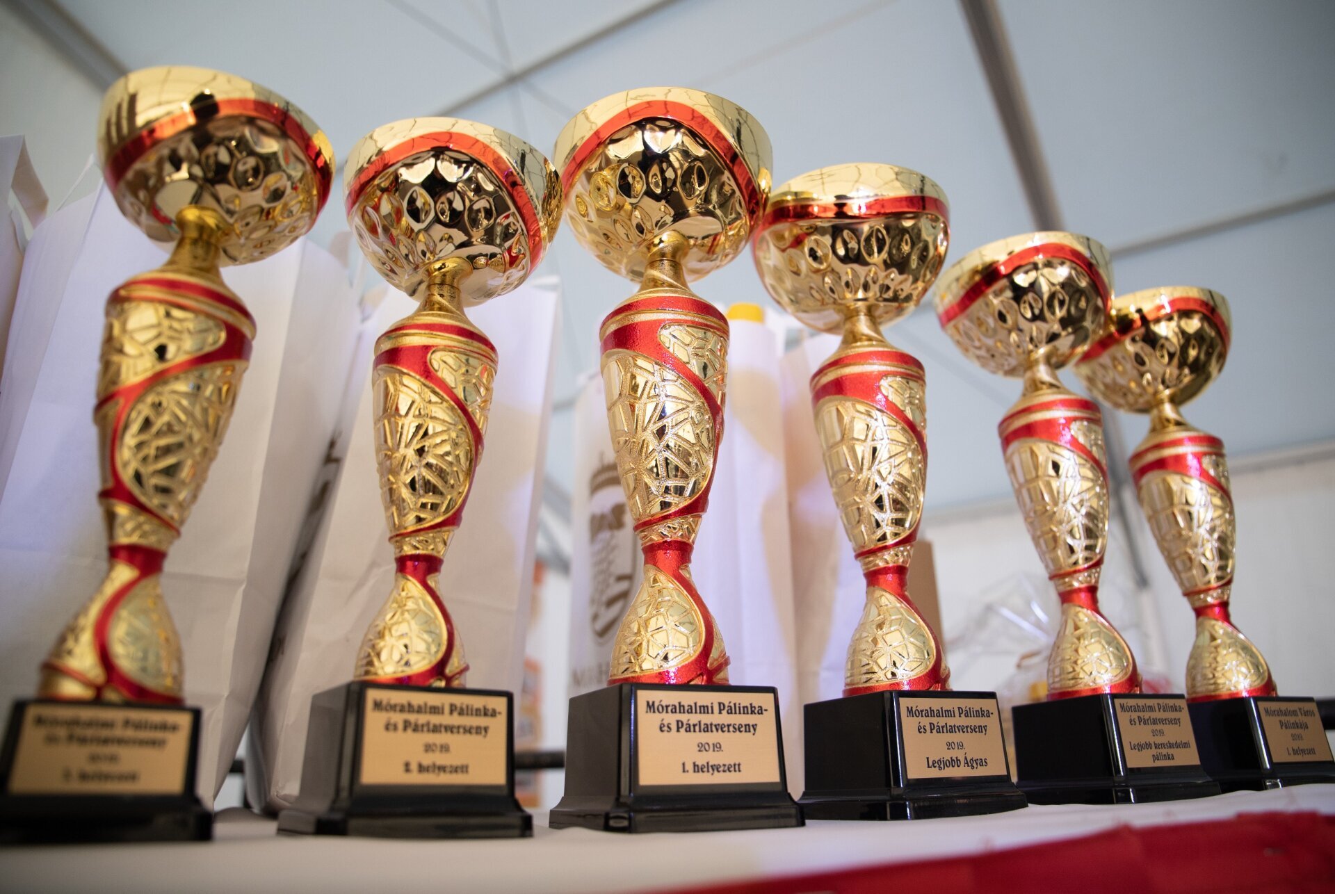 VIII. Mórahalmi Pálinkaverseny és Tepertőfesztivál