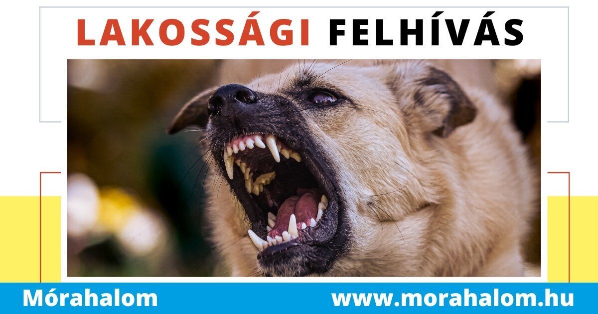 Felhívás a veszettség vírus terjedésének megelőzésével kapcsolatos jogszabályi kötelezettségek betartására