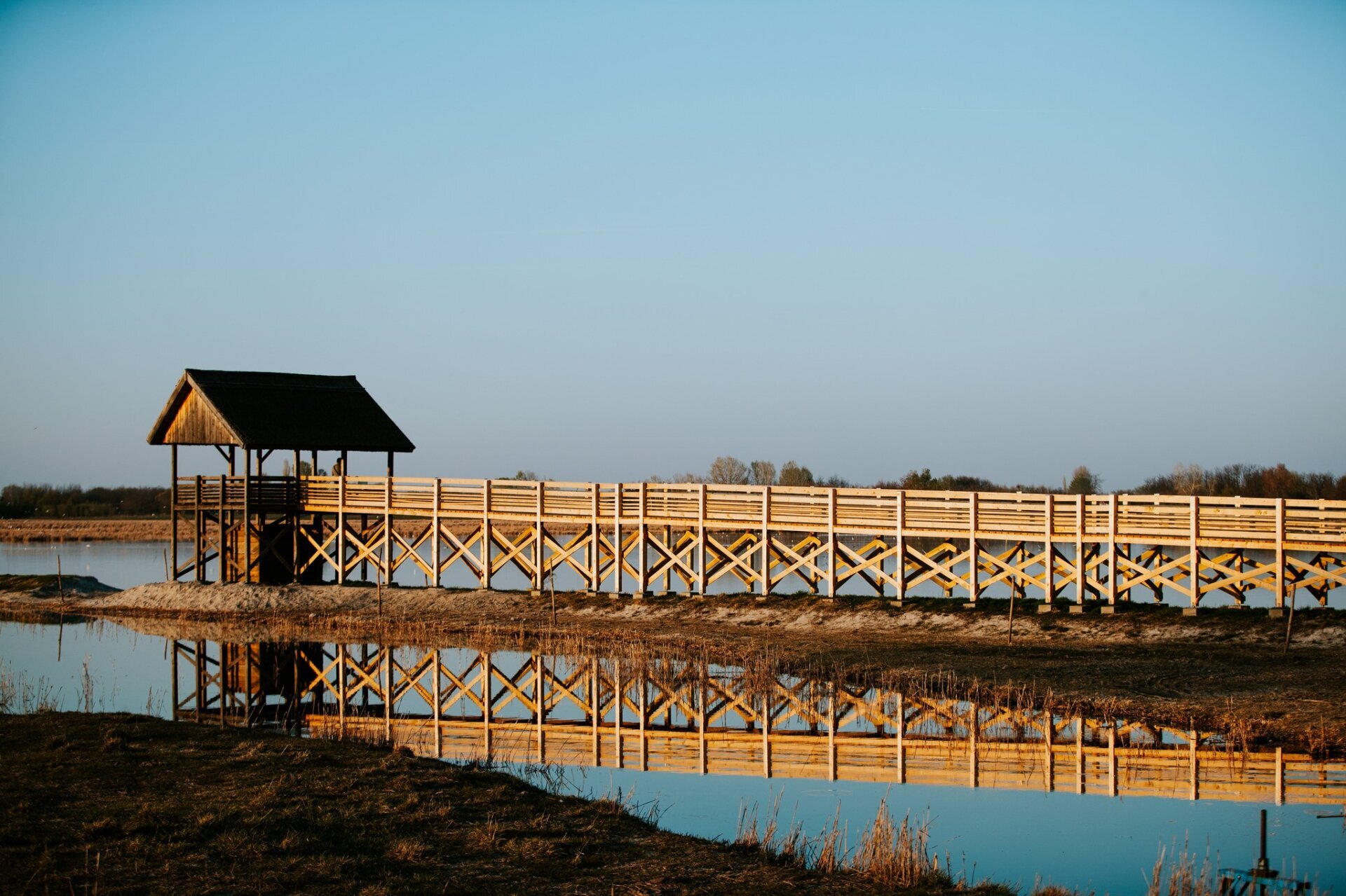 Tavaszköszöntő túra -madárvilág a Nagyszéksós-tavon