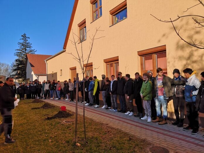 Osztályfát ültettek a szakképzős diákok Mórahalmon