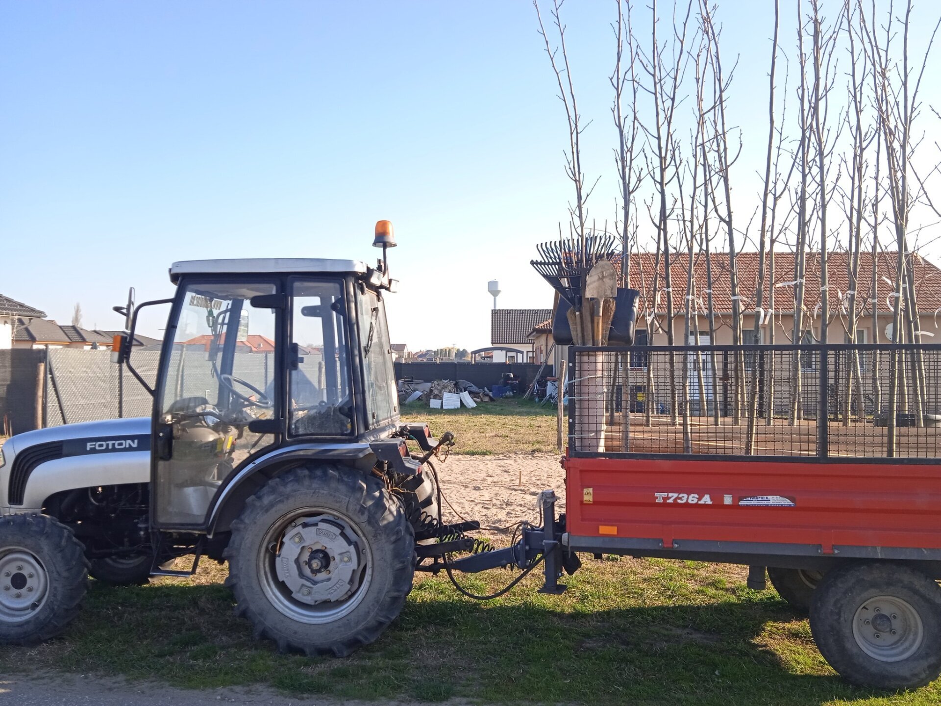 Facsemetéket ültetnek Mórahalmon