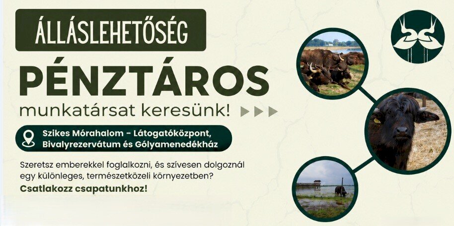 Pénztáros