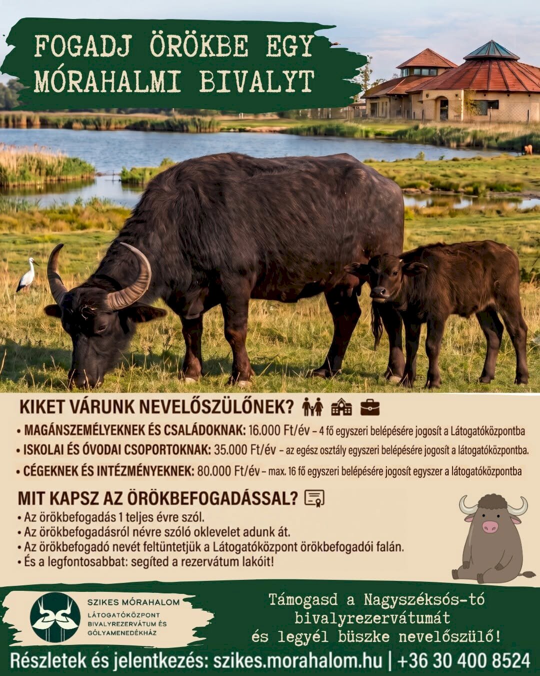 Fogadj örökbe egy bivalyt!