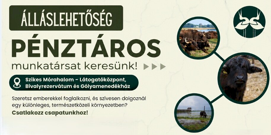 Pénztáros