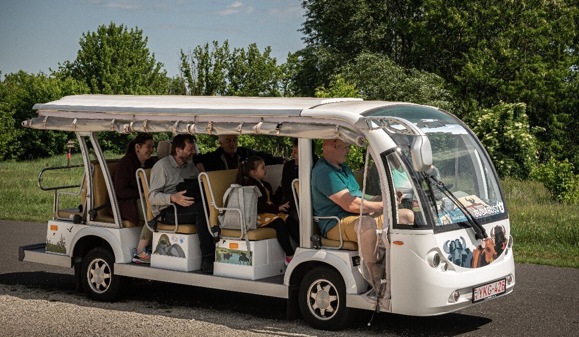 Buba-busz járatok