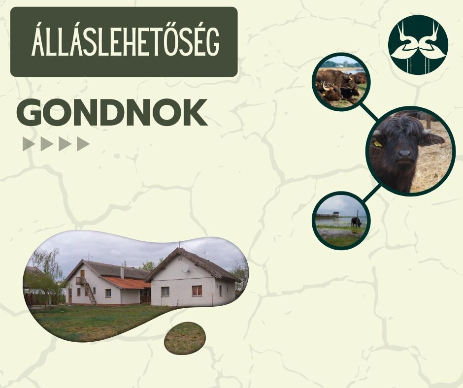 Gondnok álláslehetőség cikk