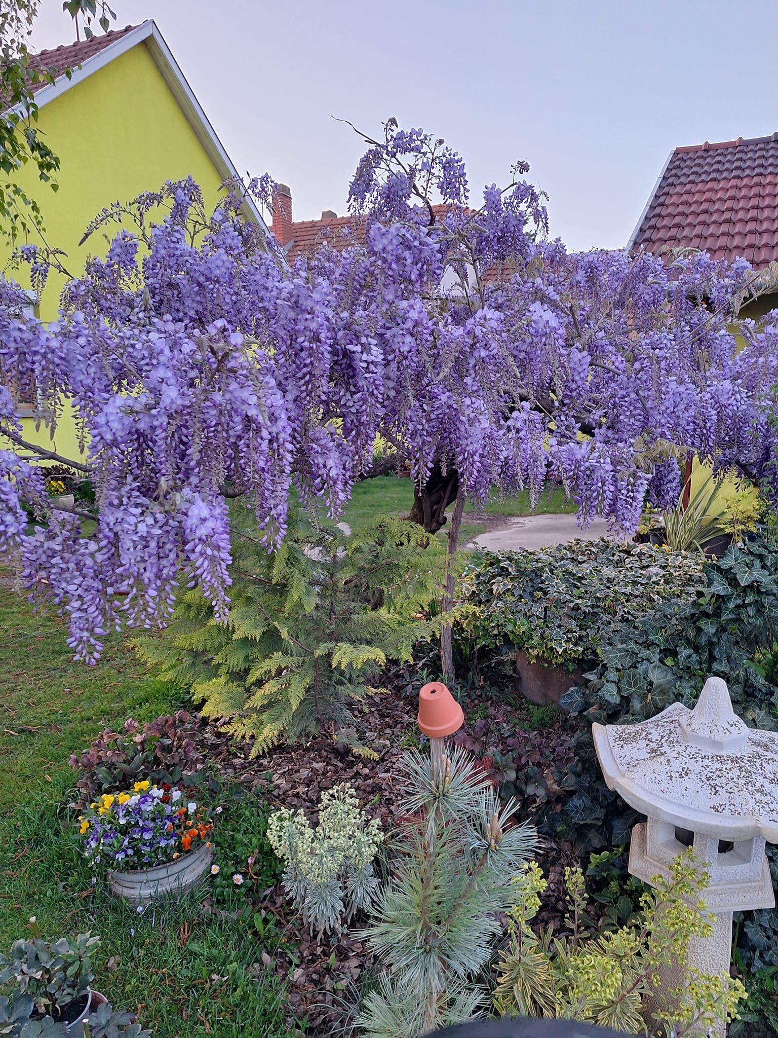 Díszkert látogatás