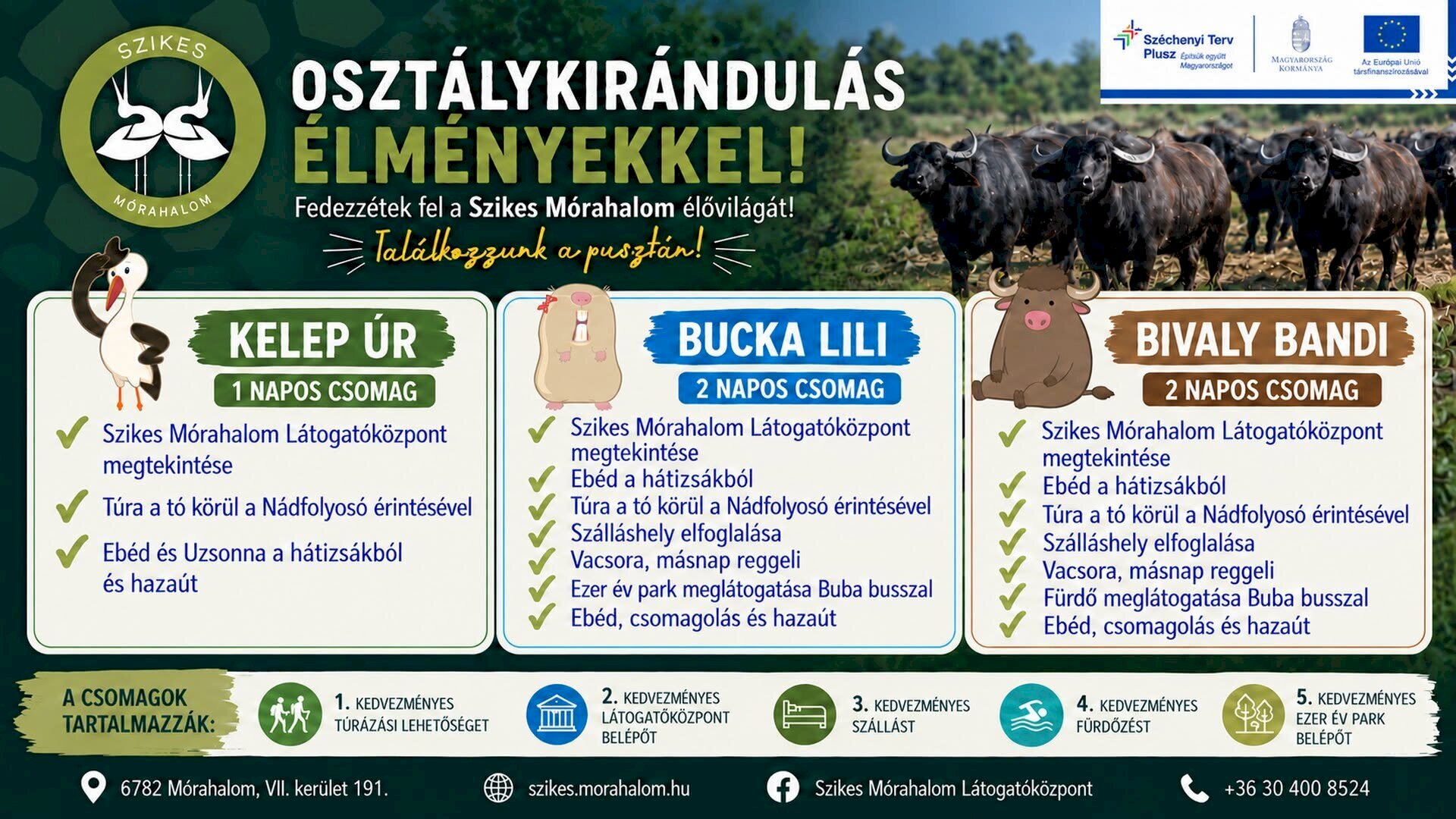 Osztálykirándulások élményekkel! 