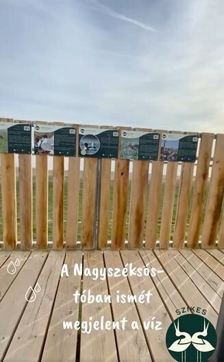 Nincs még terved a hosszú hétvégére?