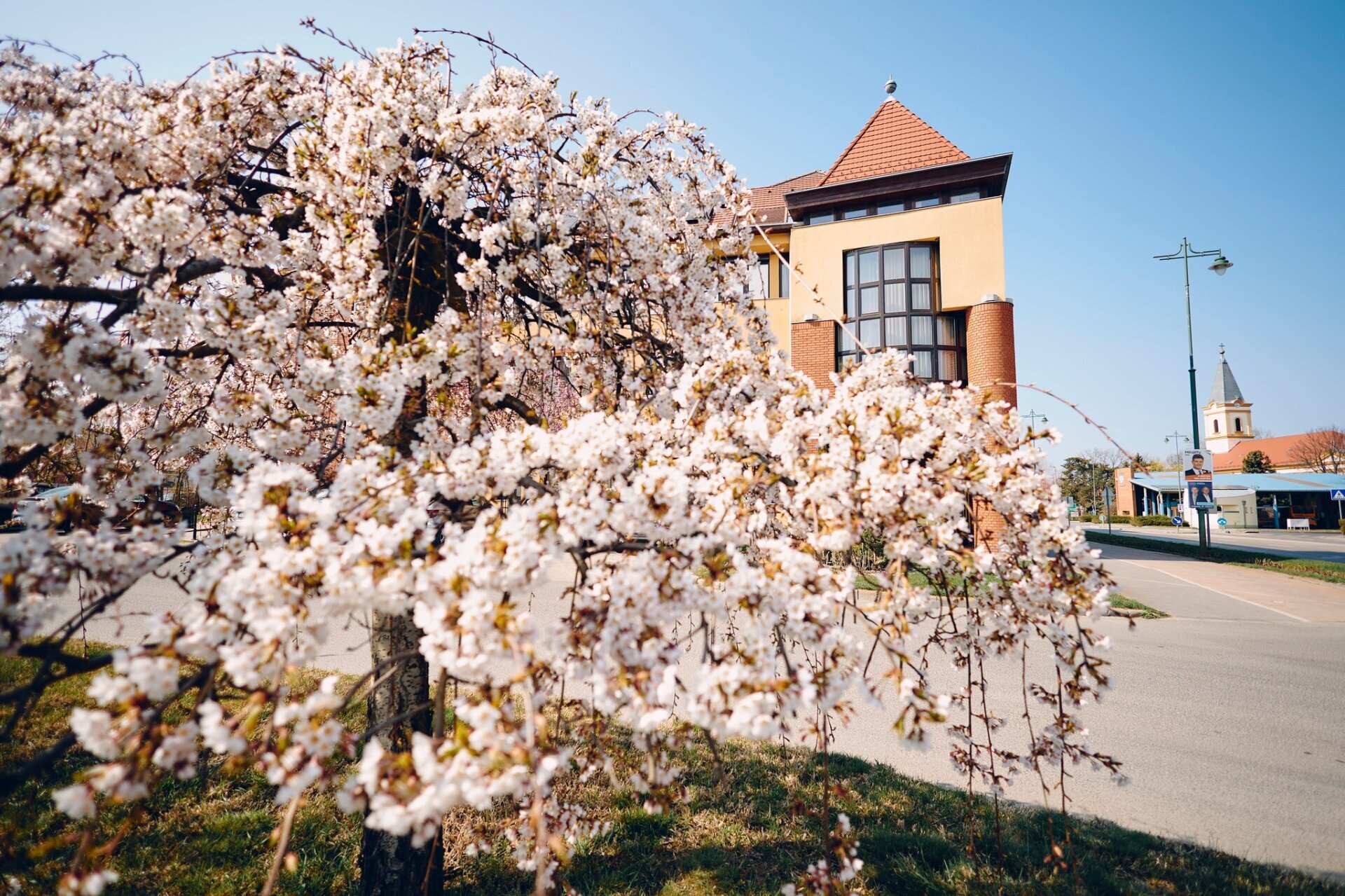 Pályázati felhívás