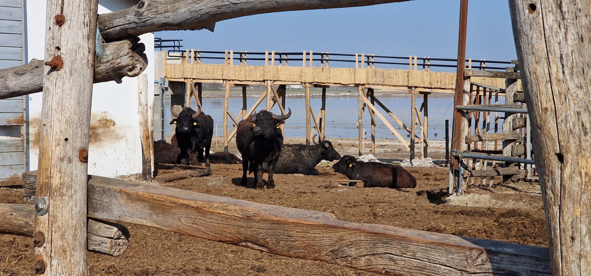 Pillantsanak be velünk a hamarosan megnyíló nagyszéksósi látogatóközpontba!