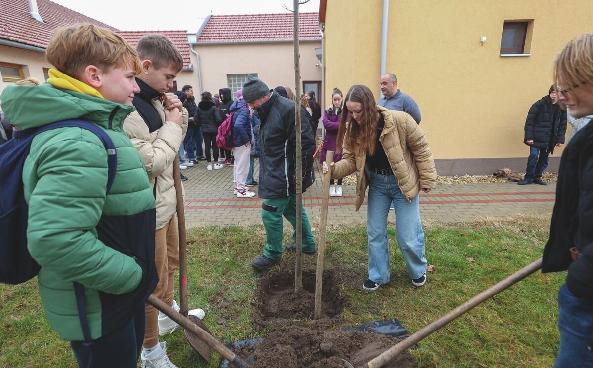 Osztályfát ültettek a kilencedikesek