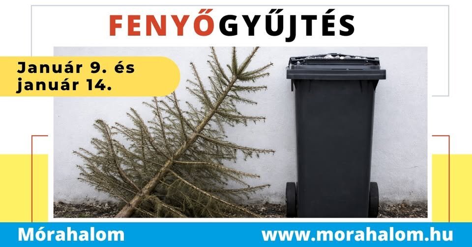 Fenyőjárat Mórahalmon!