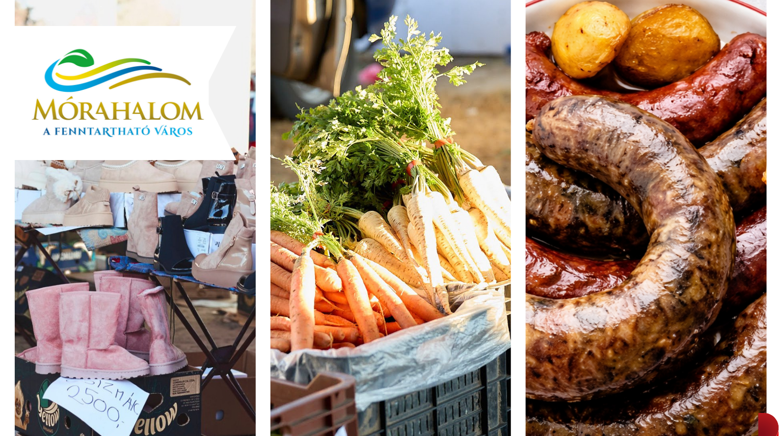 Országos állat- és kirakodóvásár logó