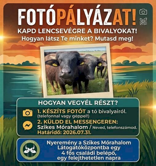 Fotópályázat 