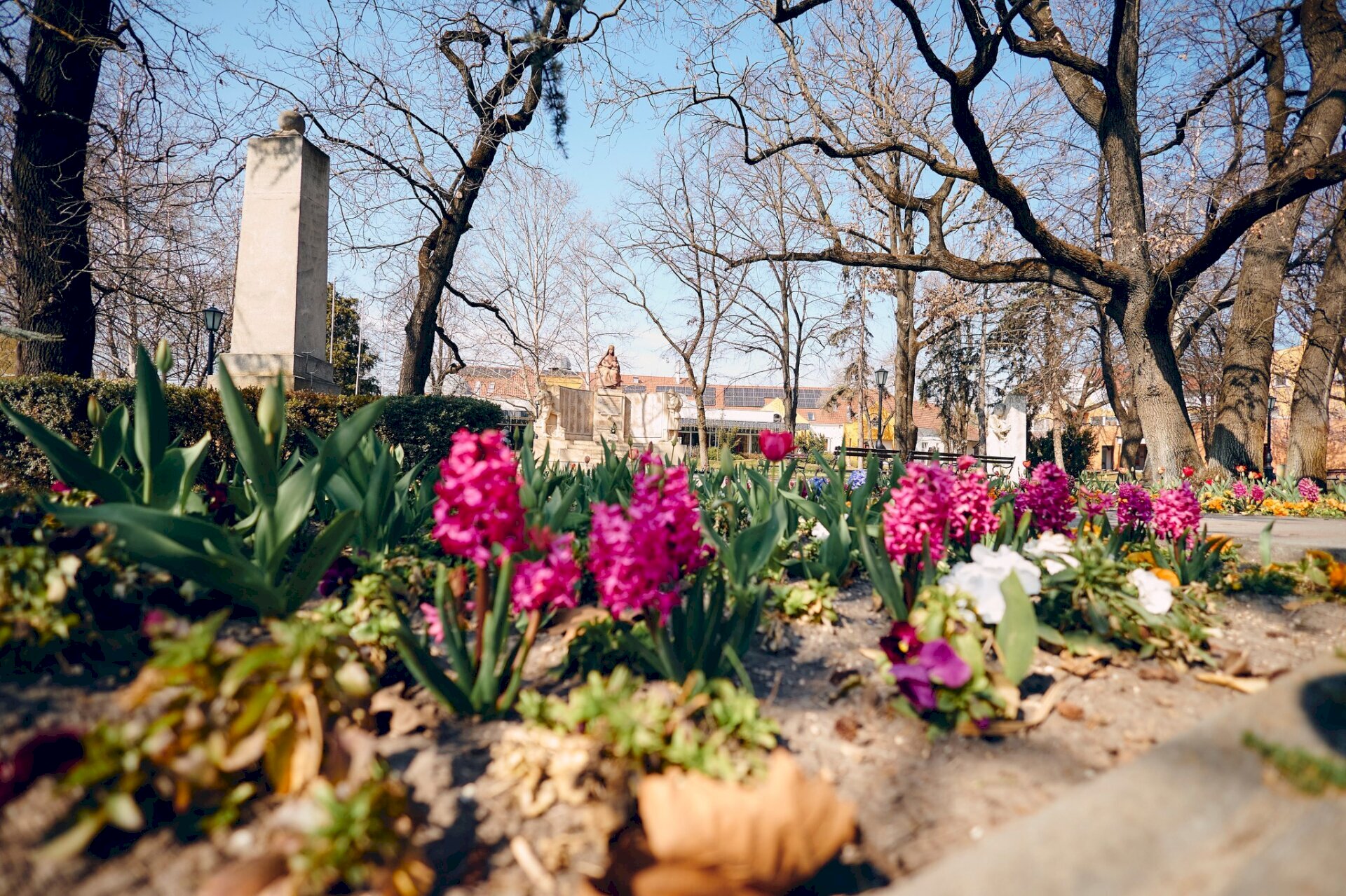 park